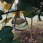La Casa Gialla A Bed and breakfast