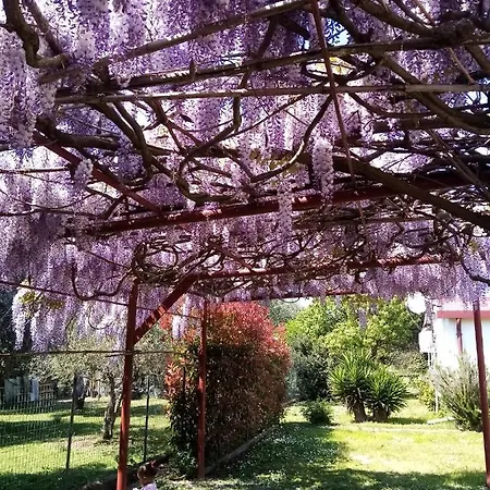 Bed & Breakfast La Casa Gialla *