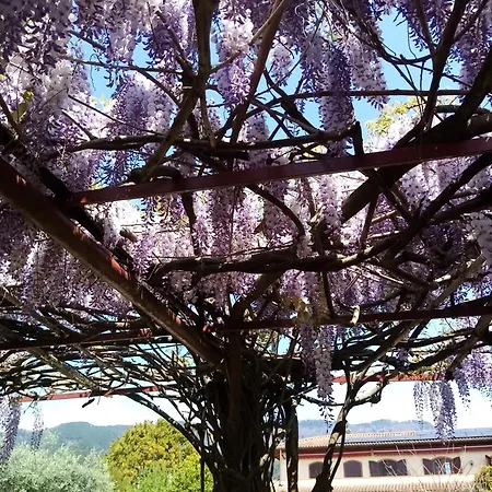 La Casa Gialla
